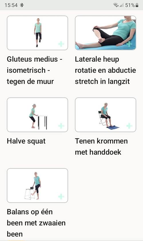 Online Übungsprogramm Hoffaitis