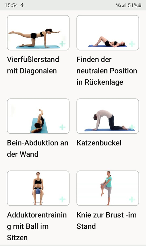 Online Übungsprogramm Beckeninstabilität
