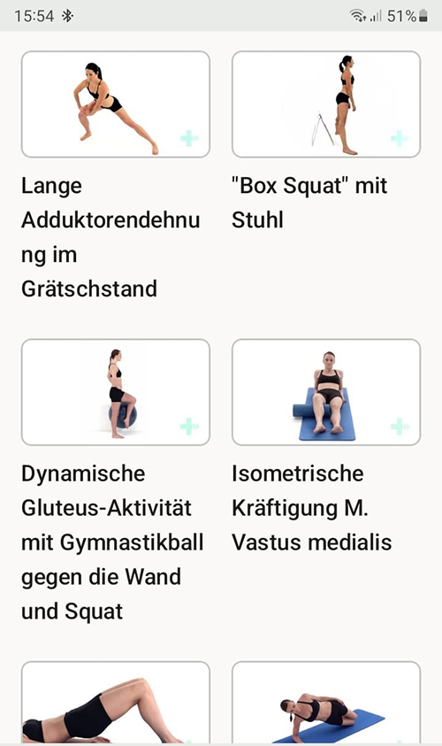 Online Übungsprogramm Verletzung des inneren Kniebands