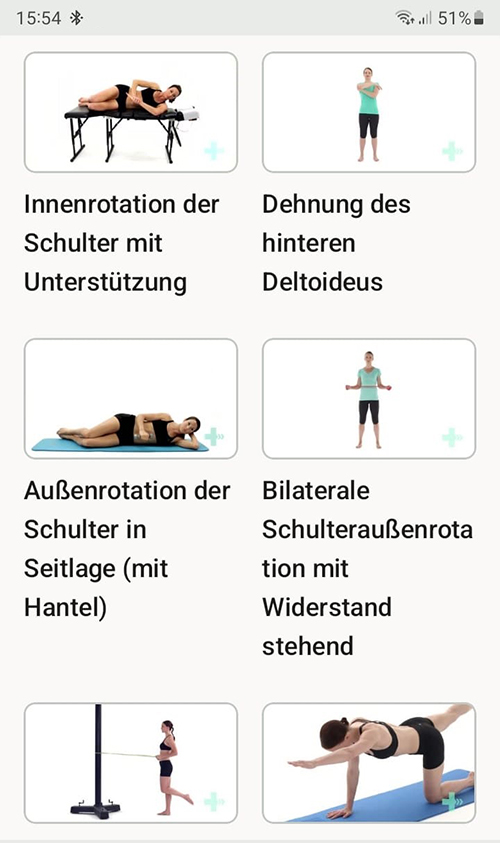 Online Übungsprogramm Internes Impingement