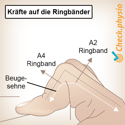 Hand Finger Ringbänder Zugkräfte